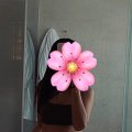 porn, erotic, XXX, nude photo